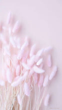 Load image into Gallery viewer, Belle means Beauty
